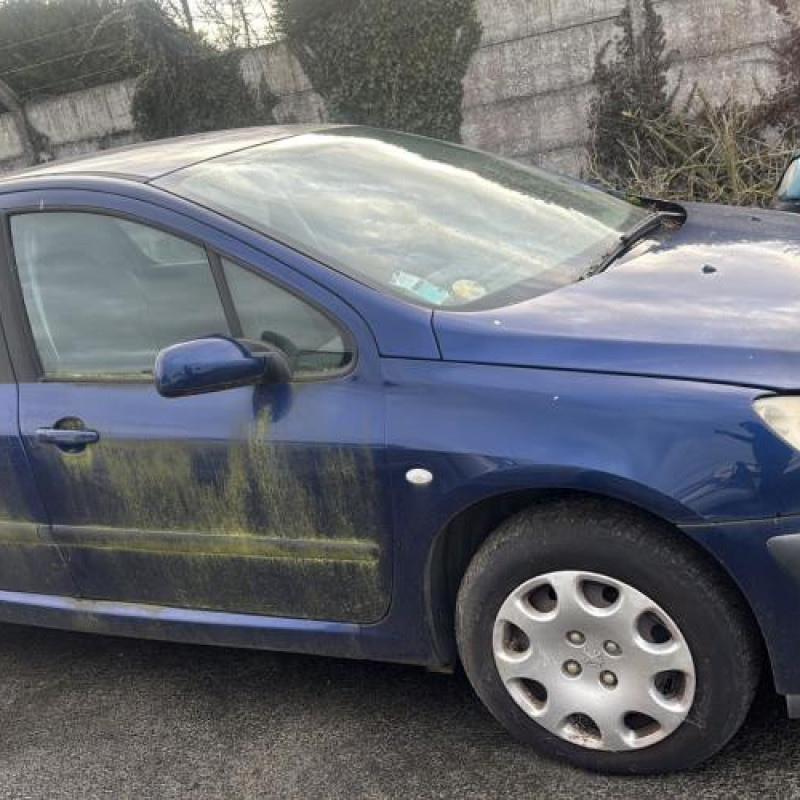 Mastervac PEUGEOT 307 Photo n°4