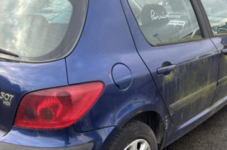 Mastervac PEUGEOT 307