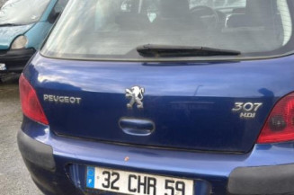 Mastervac PEUGEOT 307
