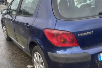 Mastervac PEUGEOT 307