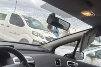 Mastervac PEUGEOT 307