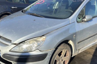 Mastervac PEUGEOT 307 Photo n°1