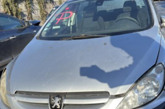 Mastervac PEUGEOT 307