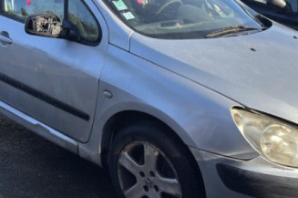 Mastervac PEUGEOT 307