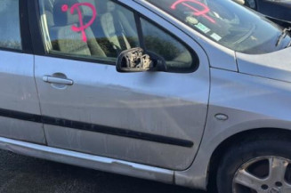 Mastervac PEUGEOT 307