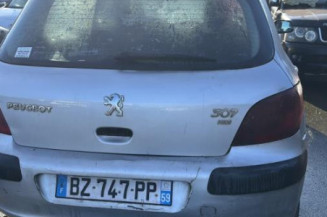 Mastervac PEUGEOT 307