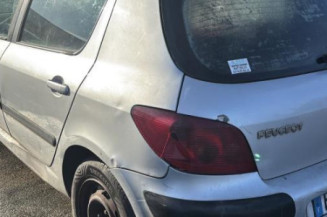 Mastervac PEUGEOT 307