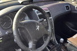 Mastervac PEUGEOT 307