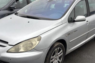 Mastervac PEUGEOT 307