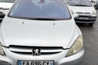 Mastervac PEUGEOT 307