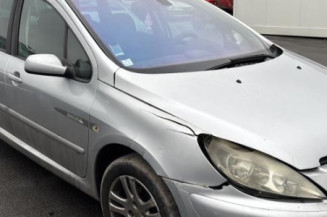 Mastervac PEUGEOT 307