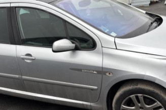 Mastervac PEUGEOT 307