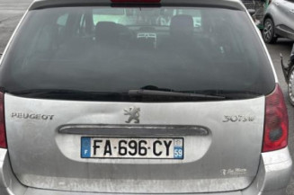 Mastervac PEUGEOT 307