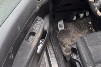 Mastervac PEUGEOT 307