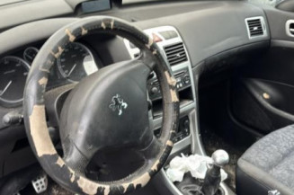 Mastervac PEUGEOT 307