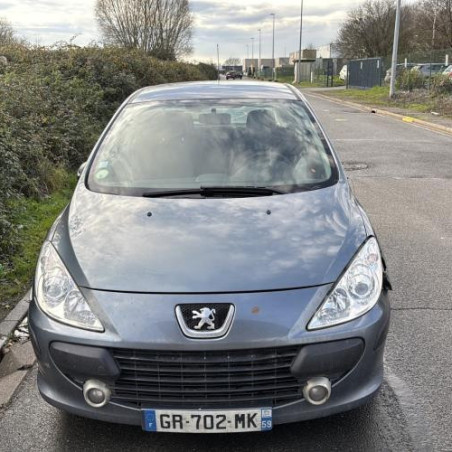 Mastervac PEUGEOT 307 Photo n°1