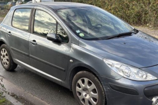 Mastervac PEUGEOT 307