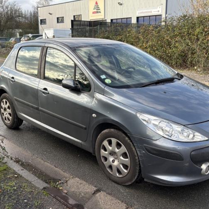 Mastervac PEUGEOT 307 Photo n°2