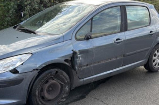 Mastervac PEUGEOT 307