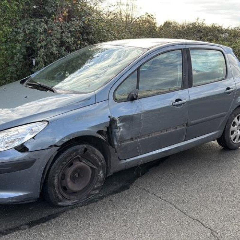 Mastervac PEUGEOT 307 Photo n°3
