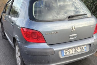 Mastervac PEUGEOT 307