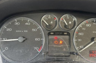 Mastervac PEUGEOT 307