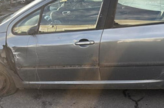 Mastervac PEUGEOT 307