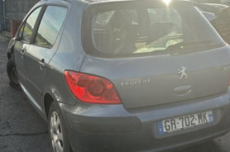 Mastervac PEUGEOT 307