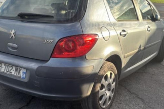Mastervac PEUGEOT 307