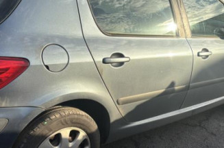 Mastervac PEUGEOT 307
