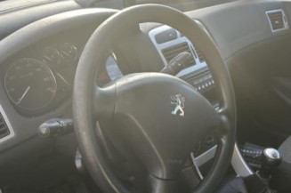 Mastervac PEUGEOT 307