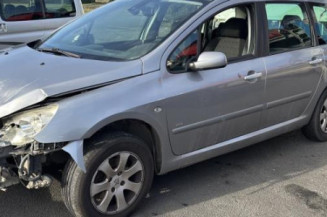 Custode arriere gauche PEUGEOT 307