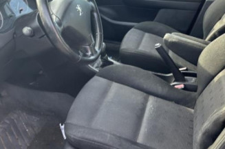 Custode arriere gauche PEUGEOT 307