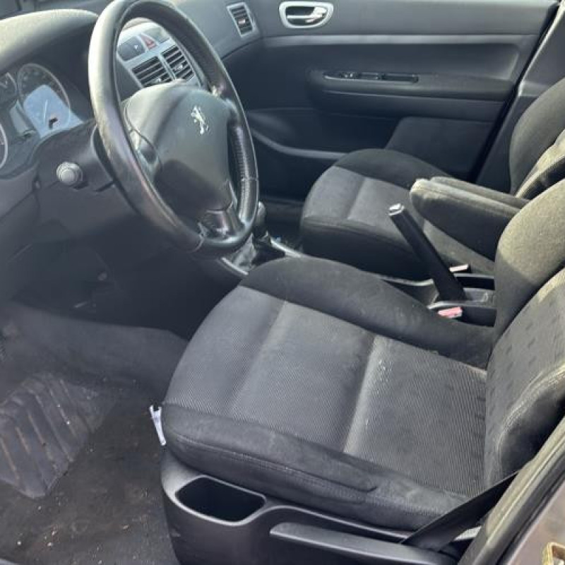 Custode arriere gauche PEUGEOT 307 Photo n°5