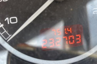 Custode arriere gauche PEUGEOT 307