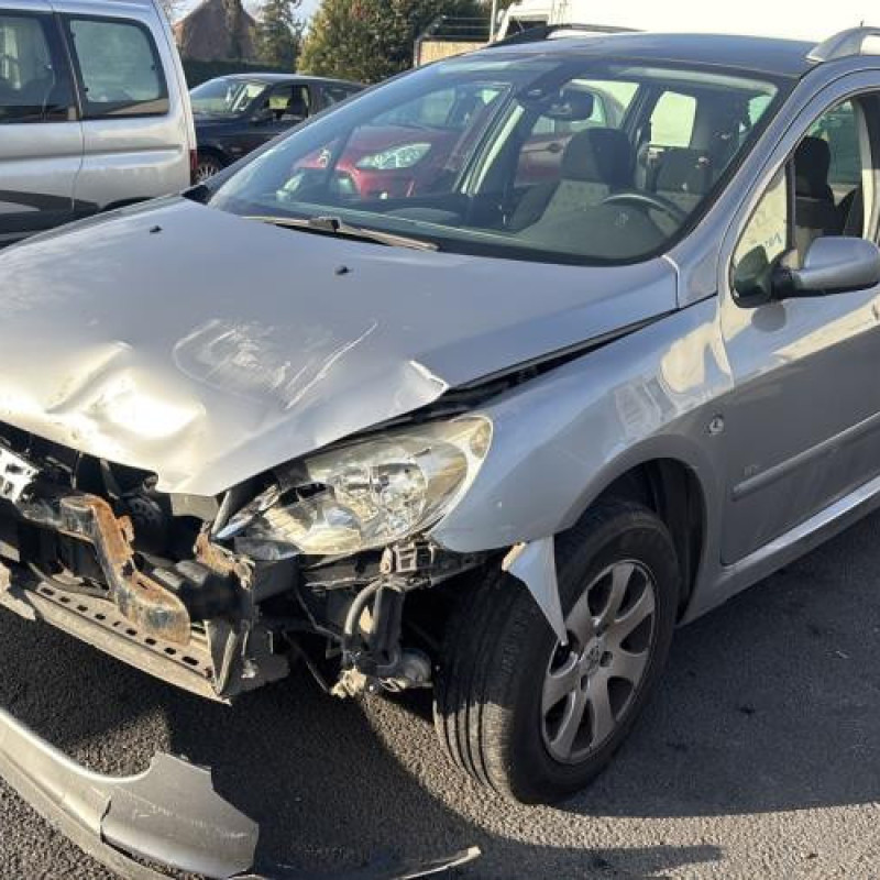 Custode arriere gauche PEUGEOT 307 Photo n°11