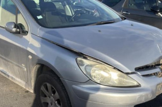 Custode arriere gauche PEUGEOT 307