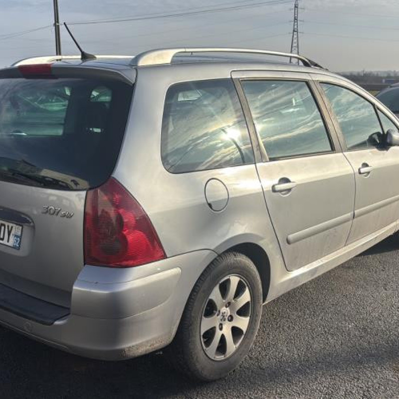 Custode arriere gauche PEUGEOT 307 Photo n°13