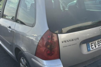 Custode arriere gauche PEUGEOT 307