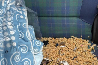 Serrure avant gauche PEUGEOT 106