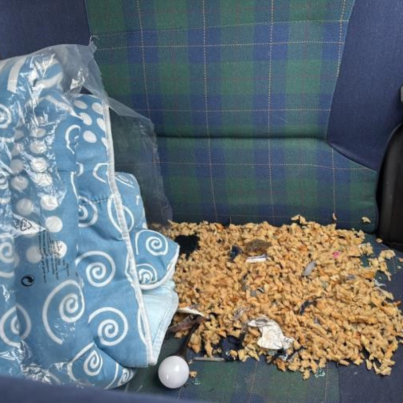 Serrure avant gauche PEUGEOT 106 Photo n°11