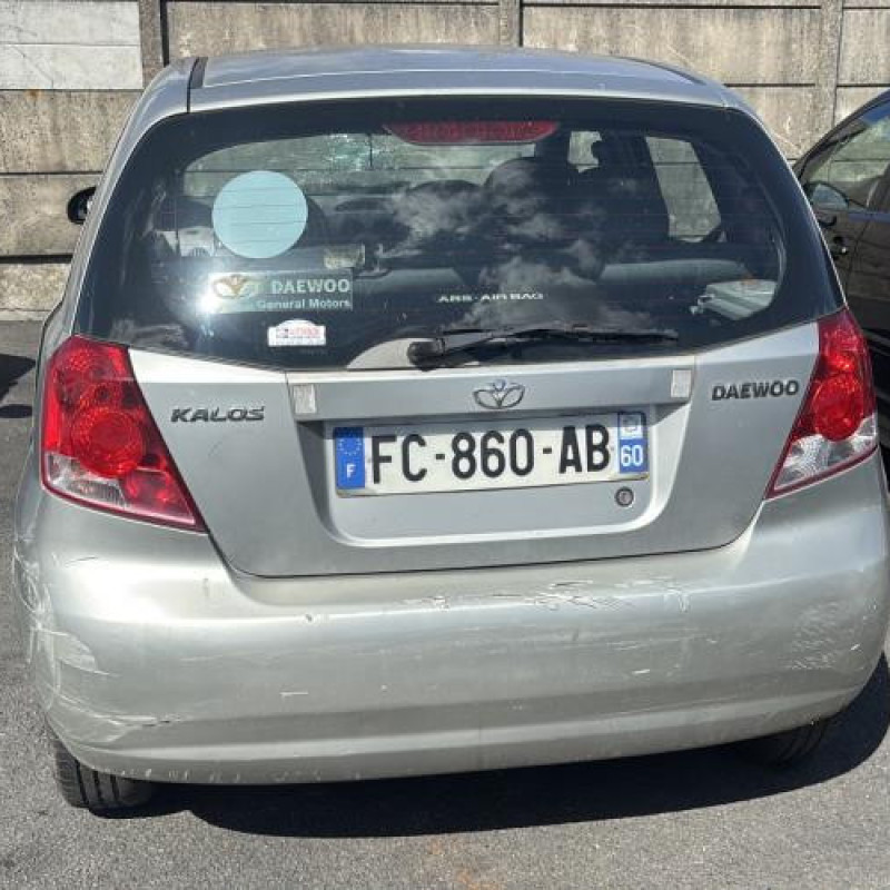 Porte arriere gauche DAEWOO KALOS Photo n°11