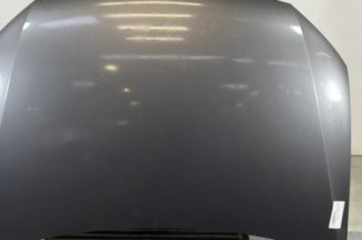 Capot VOLKSWAGEN POLO 5 Photo n°1