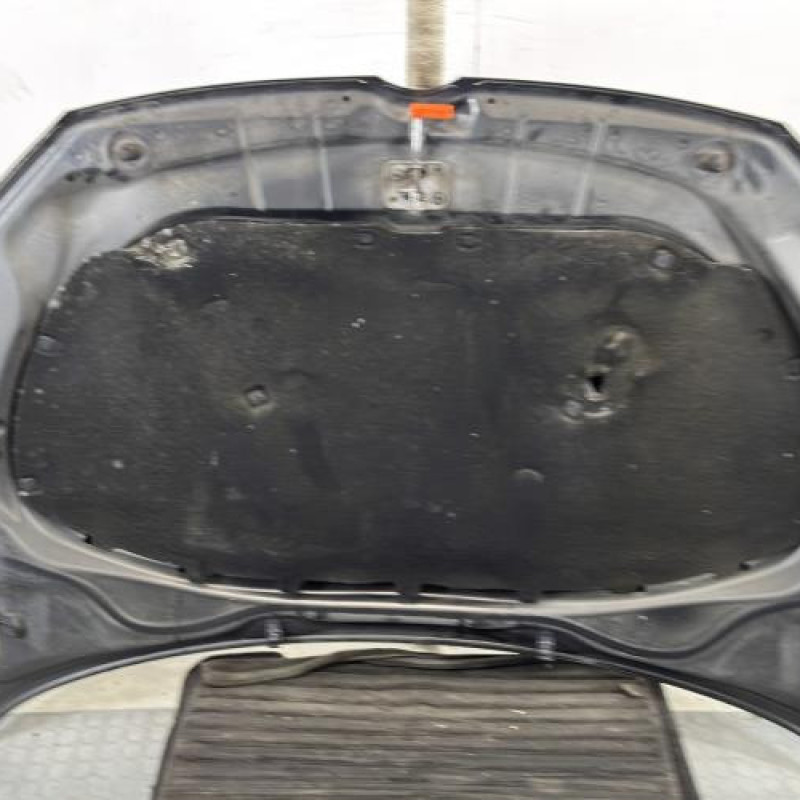 Capot VOLKSWAGEN POLO 5 Photo n°6