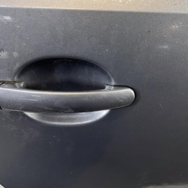 Porte arriere droit VOLKSWAGEN POLO 5 Photo n°2