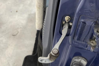 Porte avant gauche RENAULT CLIO 2