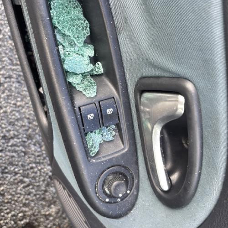 Porte avant gauche RENAULT CLIO 2 Photo n°17