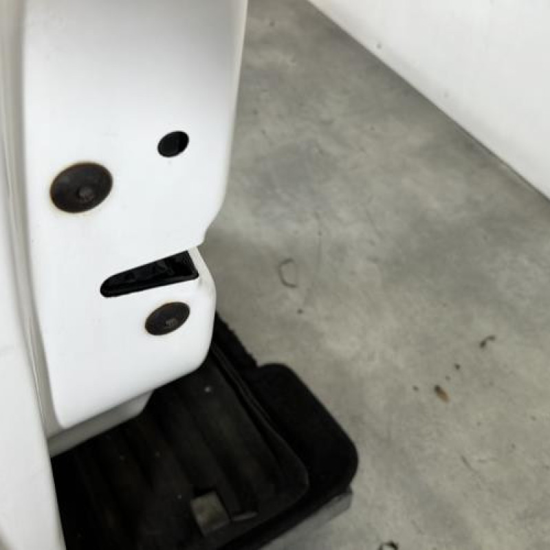 Porte avant gauche VOLKSWAGEN POLO 5 Photo n°3