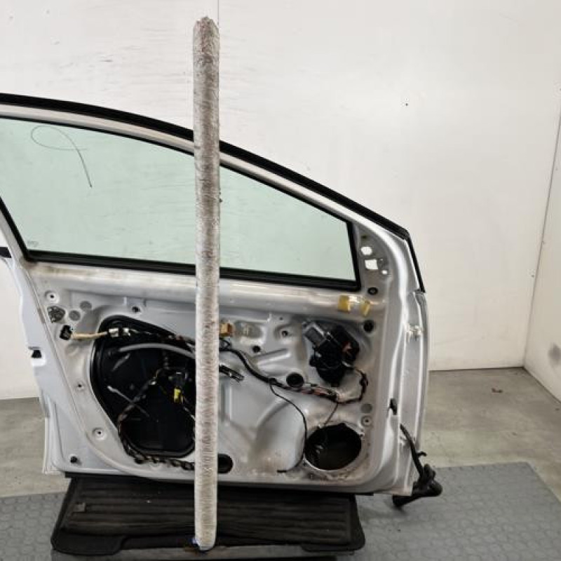 Porte avant gauche VOLKSWAGEN POLO 5 Photo n°6