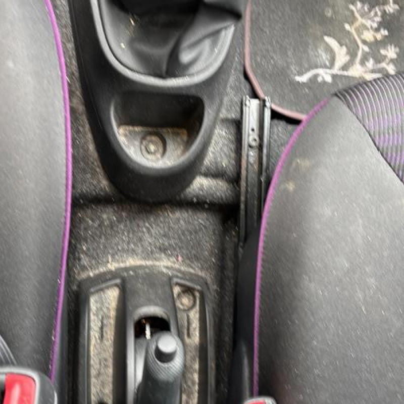 Porte avant droit PEUGEOT 107 Photo n°19